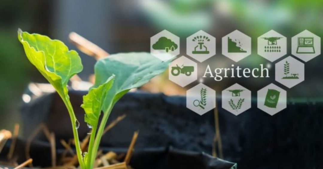 Agritech startups