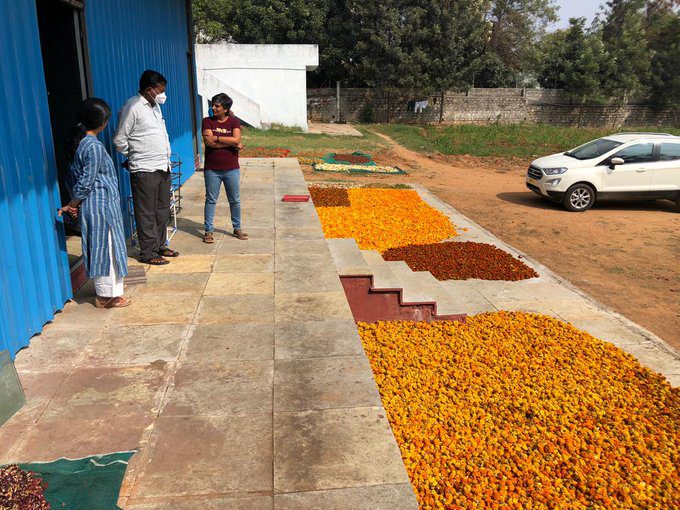 Flower Recycling | Indian Startups | Global Indian