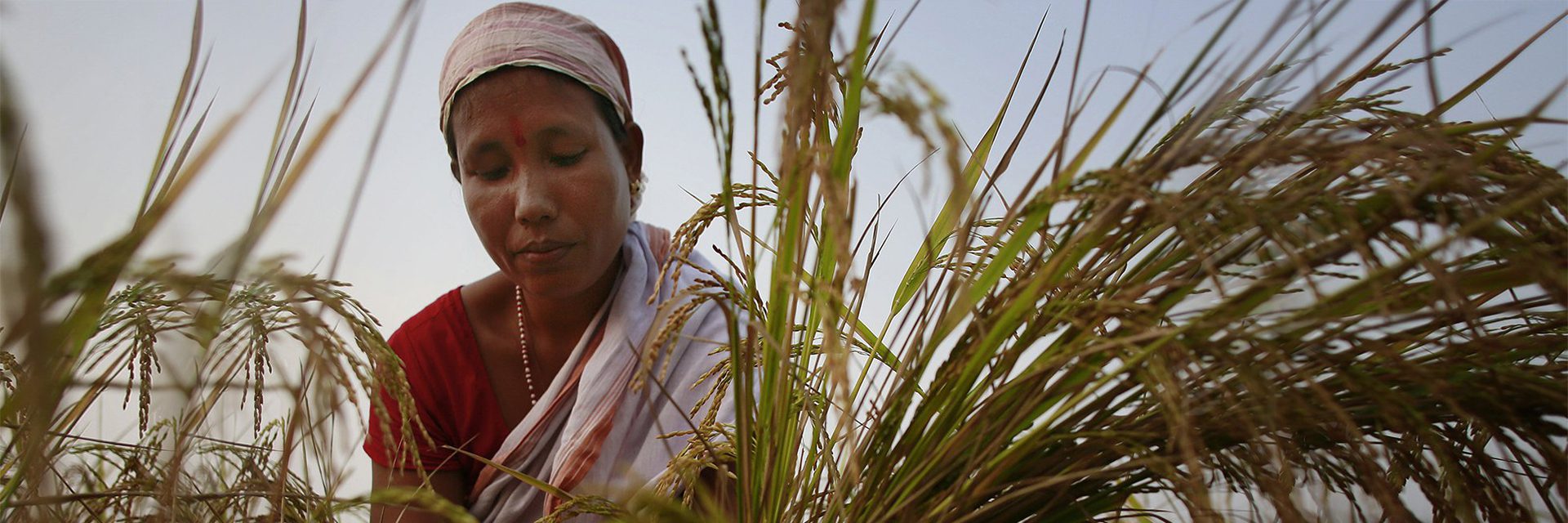 Read how climate change and gender inequalities are deeply connected – UNDP Climate