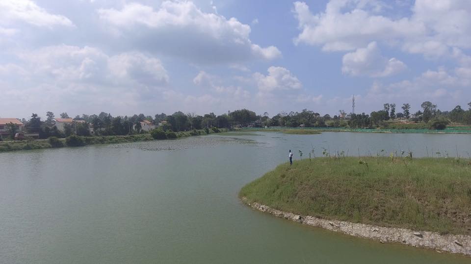 Lake man : Anand revives Bengaluru’s dying lakes | Global Indian