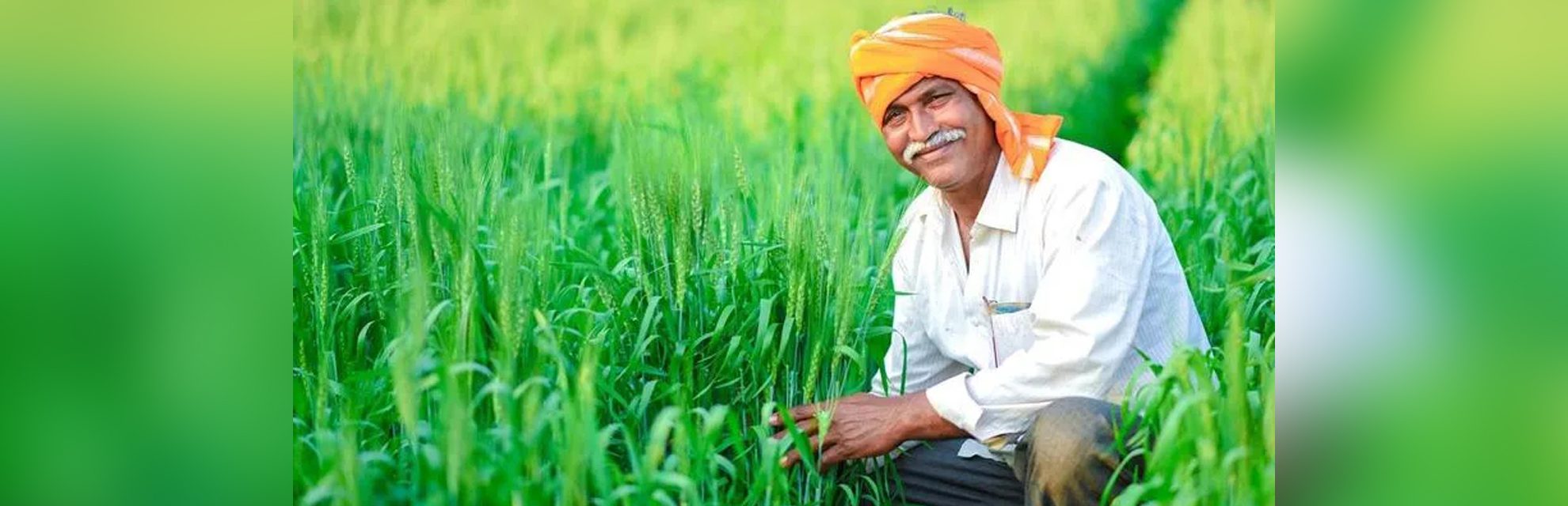 الزراعة العالمية الهندية