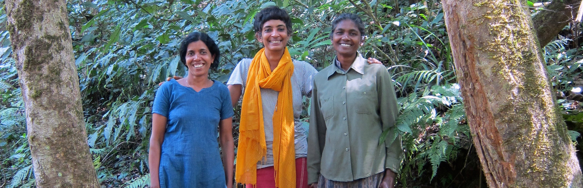 환경보호론자인 수프라바 세샨(Suprabha Seshan)은 구루쿨라 식물 보호구역(Gurukula Botanical Sanctuary)에 열대우림을 만들고 있습니다.