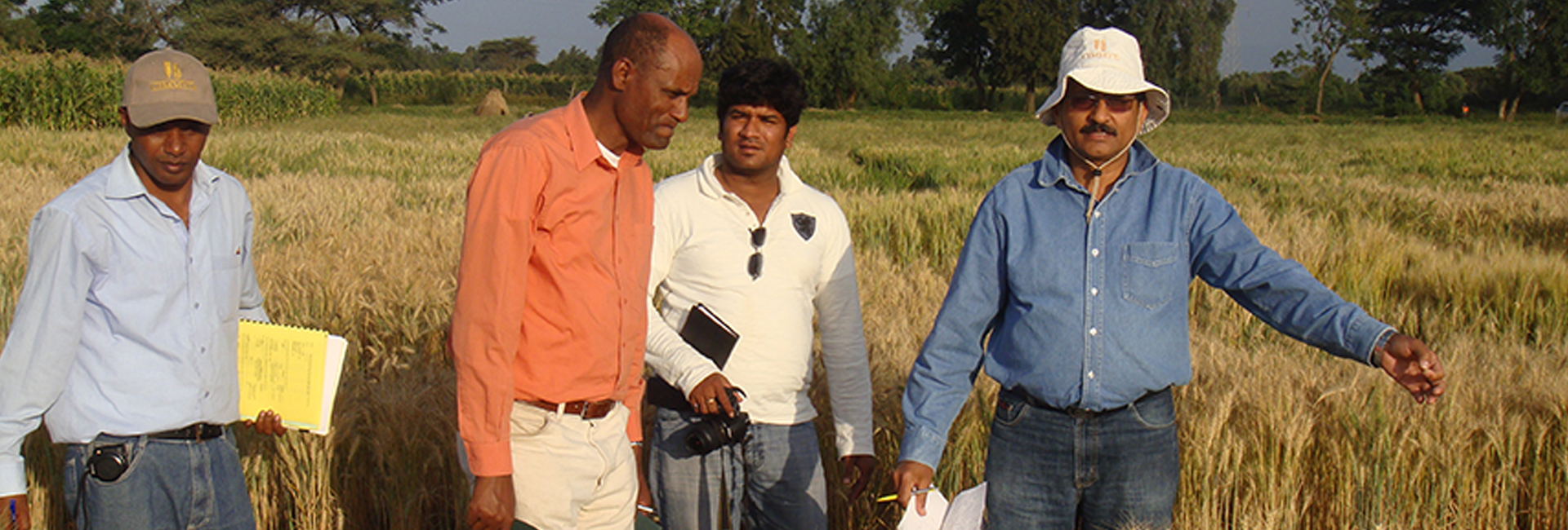 Pravasi Bharatiya Samman-winnaar, wetenschapper dr. Ravi Singh werkt aan voedselzekerheid voor iedereen