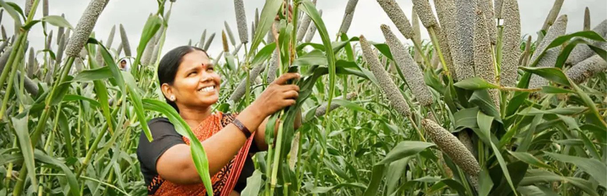 Suman Sahai | It's time to take millets seriously, to fight climate, food challenges