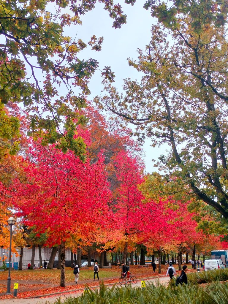 University of British Columbia 