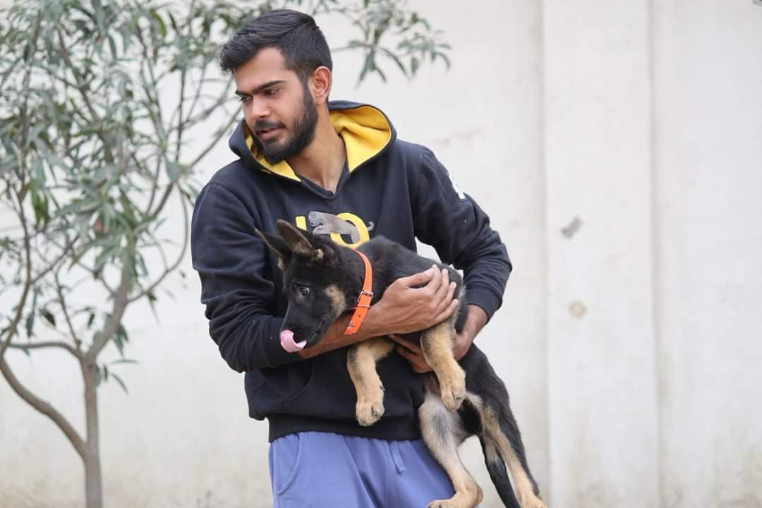 Adnaan Khan | K9 | dog trainer | Global Indian