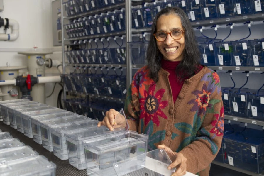 Indian Scientist | Lalita Ramakrishnan | Global Indian