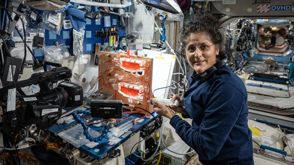 Indian American | Sunita Williams | Global Indian