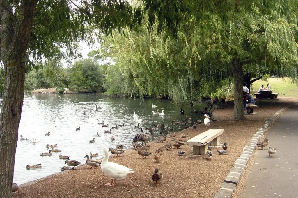 Western Spring Park | Auckland