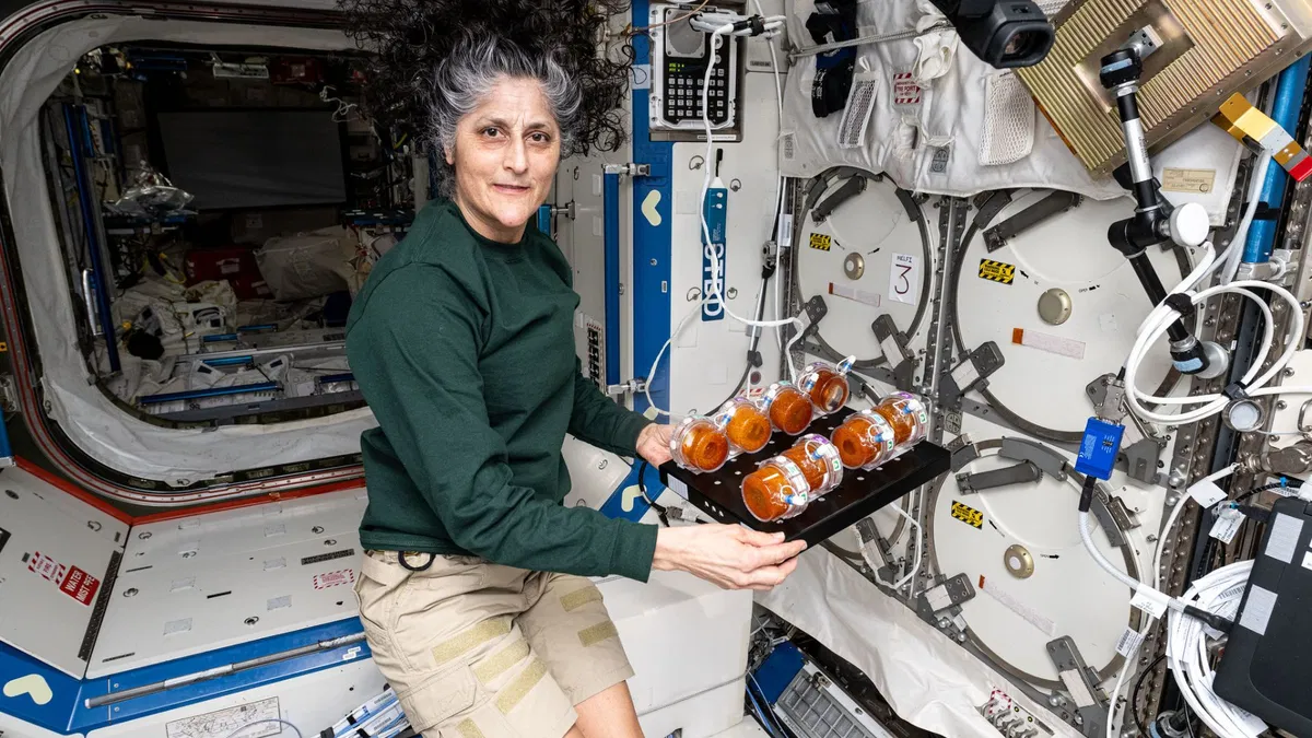 Sunita Williams | Global Indian