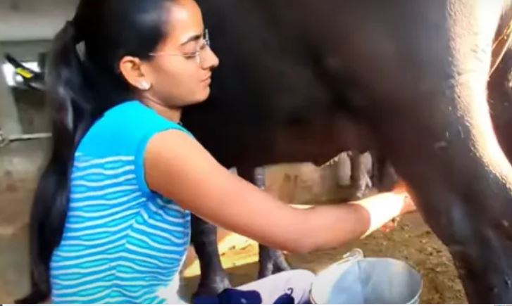 Village Entrepreneur | Shraddha Dhawan | Maharashtra Dairy Farmer