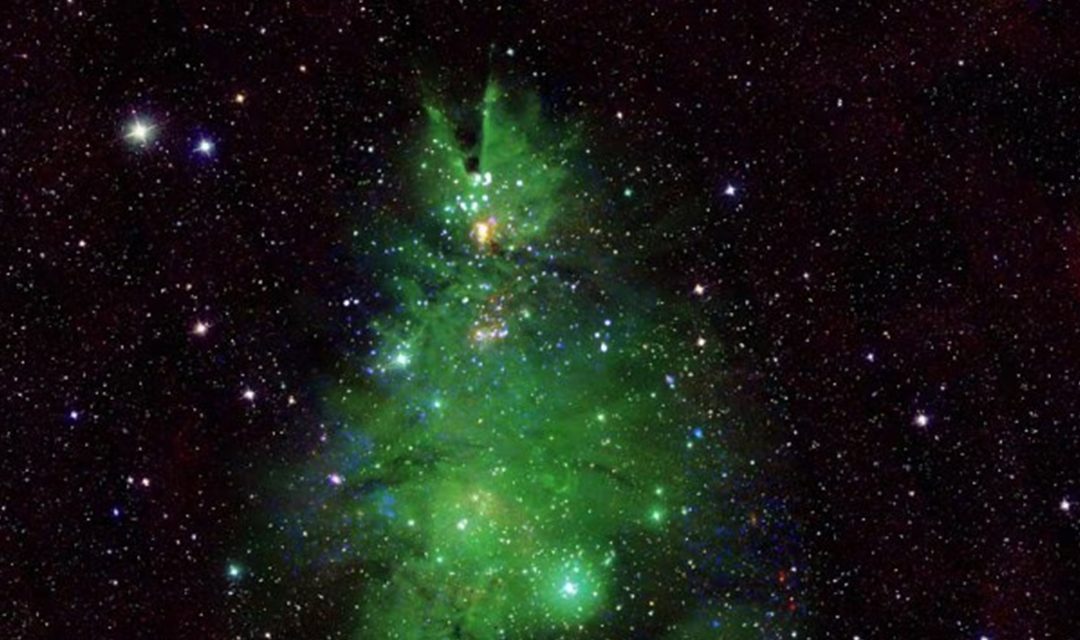 NASA unveils cosmic Christmas tree in new photo ahead of the festival